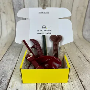 Veggie Treat Gift Box for Dogs