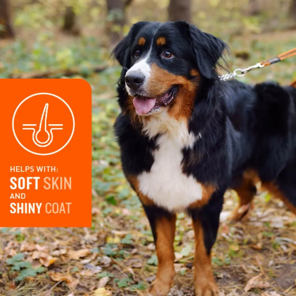 VetIQ Skin & Coat Soft Chew Supplement for Dogs (60 soft chews)