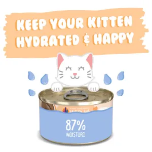 Weruva Kitten Tuna & Salmon Puree Recipe Canned Cat Food